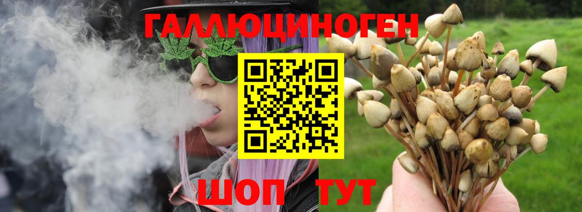 Псилоцибиновые грибы MAGIC MUSHROOMS Ирбит